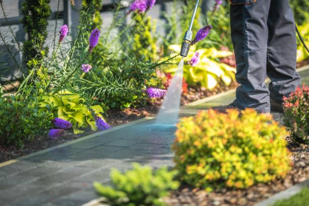 Reliable Lewiston, UT Pressure Washing Services Solutions